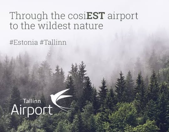 EST concept — brand activation by startup scene