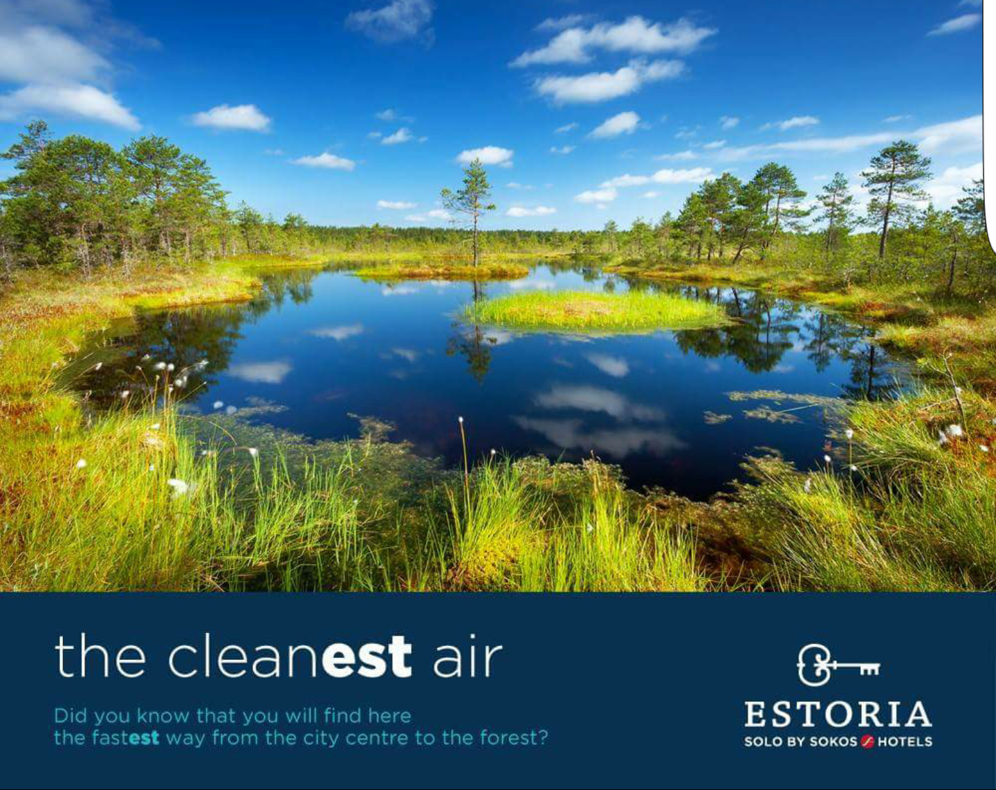 EST concept — brands and sectors